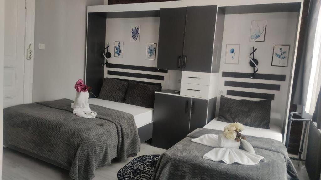 Taksim Hostel Green House イスタンブール エクステリア 写真